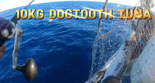 Team Ryoshi field tester and Zenaq Ambassador Tejz Ligan with a 10kg Dogtooth tuna again on Zenaq Ikari jigging rod, - Ryoshi Pro Outfitters