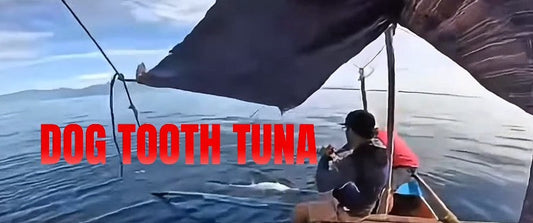 A double digit dog tooth tuna landed by angler Aqeelah Palawan Angler on his Piratez Strike Vanguard power 3 rod! Congrats sir Aqee!!! - Ryoshi Pro Outfitters