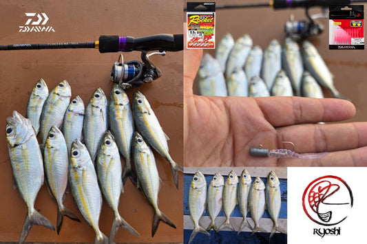 Aji Fishing with Finesse MX 722L rod and 20 Legalis 1000D reel by Angler Ajio Okamura. - Ryoshi Pro Outfitters