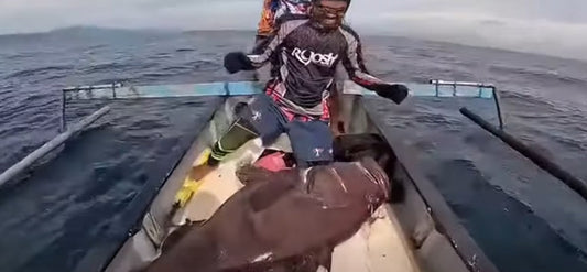 Massive 44.5kg Goliath Grouper by Sir Bandido PH using Piratez Strike Slower 56/6 and RPO OU812 jig. - Ryoshi Pro Outfitters