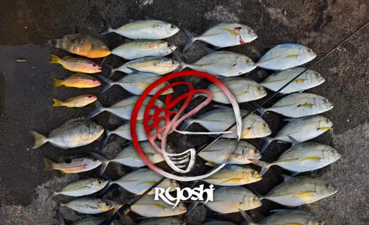 Dozens of Blue fin trevally and Big eye scad caught by angler Alvin Soriano during his recent ajing trip using Daiwa 23 Airity lt 2000s-h. - Ryoshi Pro Outfitters