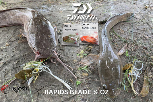 A wild catfish and a snakehead both fell victim to the allure and charm of Daiwa rapids blade lure - Ryoshi Pro Outfitters