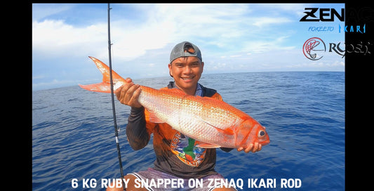 Ruby Snapper landed by Angler Tejz Ligan using Zenaq ikari rod - Ryoshi Pro Outfitters
