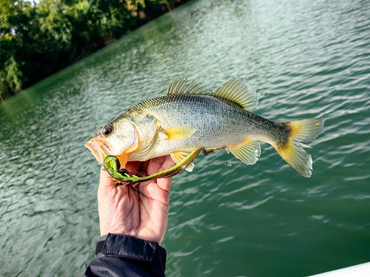 Testing Decoy Switch Bomb and Daiwa Steez Hydro Curly at Lake Lumot Laguna - Ryoshi Pro Outfitters
