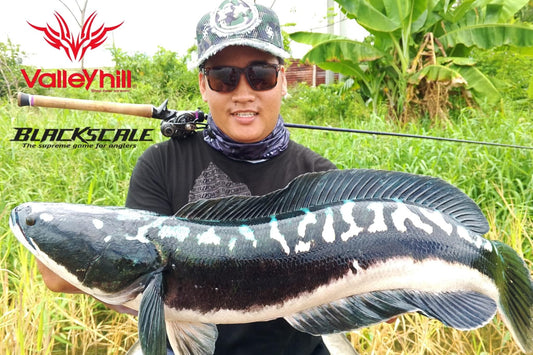 Angler Julius Mamangun landing a huge toman using ValleyHill Blackscale Rod! Congrats Julius! - Ryoshi Pro Outfitters