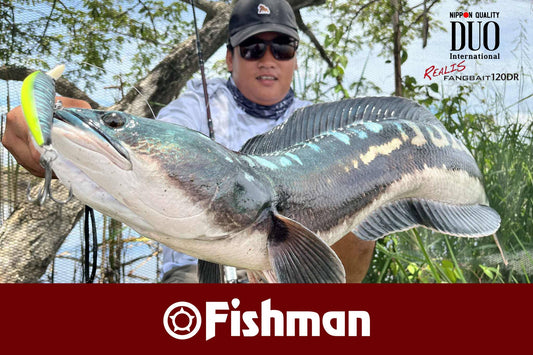 Angler Julius Mamangun used DUO Fangbait 120DR and Fishman BC4 510MXH in landing this mama toman! - Ryoshi Pro Outfitters