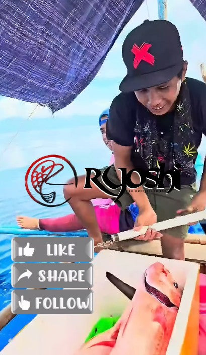 Angler Marco Umag landing a big ruby snapper using Catalina SJ 60B-6 rod and Accurate Boss Valiant Reel - Ryoshi Pro Outfitters