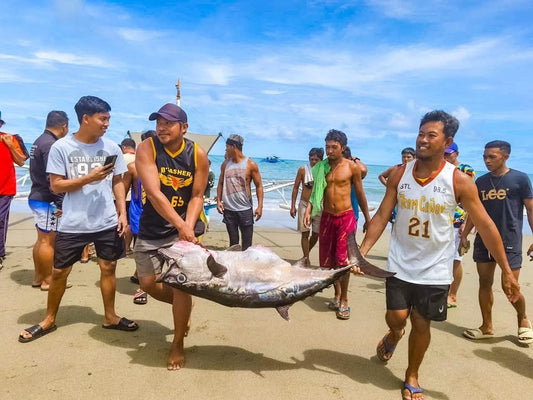 Sipalay fishing tournament with the champion landing a massive 34kg Dogtooth tuna!!!!! - Ryoshi Pro Outfitters
