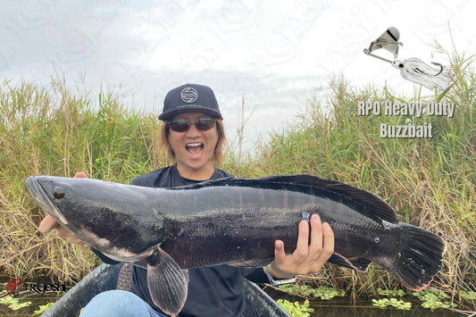 Japanese Angler Takumi San caught this huge mama toman using RPO Heavy Duty Buzz Bait!!!! - Ryoshi Pro Outfitters