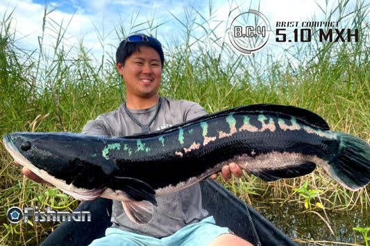 A huge toman caught by Fishman Tester Takehiro Nakamura using Fishman Brist Compact BC4 510MXH rod - Ryoshi Pro Outfitters