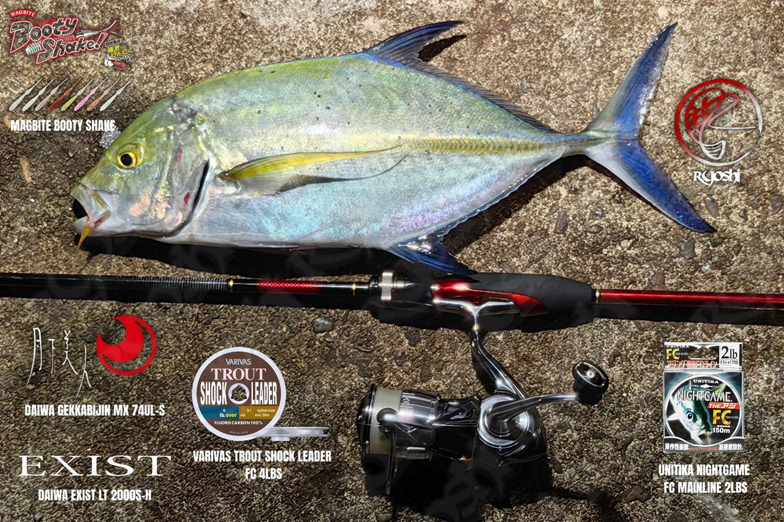 Blue Fin Trevally aginst 2lbs Ajing / Mebaring setup! - Ryoshi Pro Outfitters