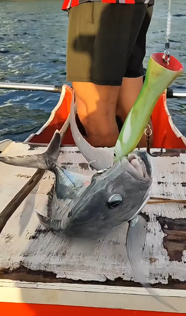 Another GT hauled in by Ryoshi Pro Tester Josh Macnel Sulit using Piratez Strike Gunz Force Shooter 78H - Ryoshi Pro Outfitters