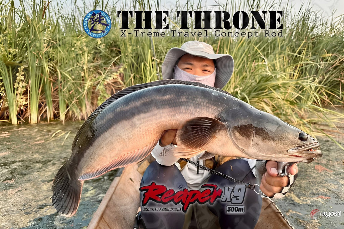 Testing out his new Ironman The Throne Rod, angler Justine Vicente managed to land this nice sized toman with ease -Ryoshi Pro Outfitters