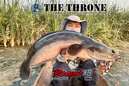 Testing out his new Ironman The Throne Rod, angler Justine Vicente managed to land this nice sized toman with ease -Ryoshi Pro Outfitters