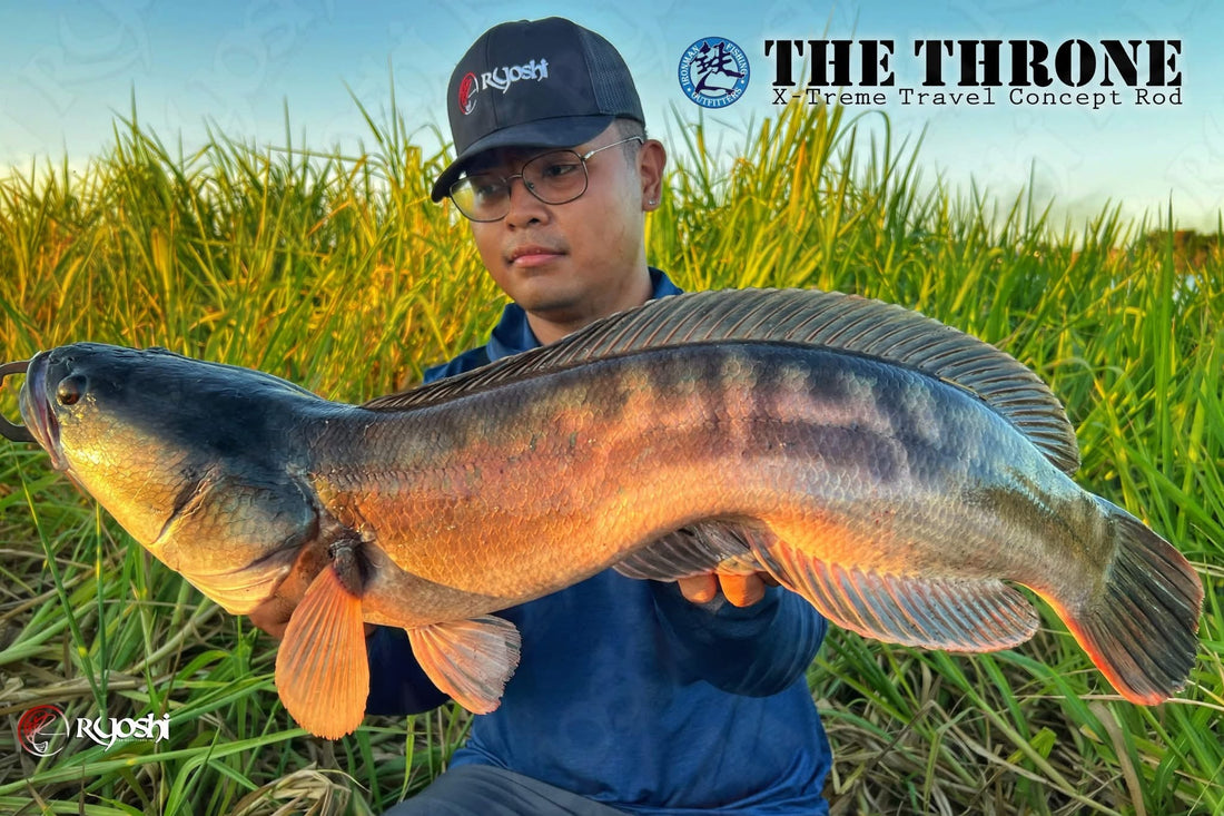 Angler Cyrus Diamse AKA Bosai with a huge Toman he caught using Ironman The Throne TT67H-4 Heavy Bait Casting 4 travel rod - Ryoshi Pro Outfitters
