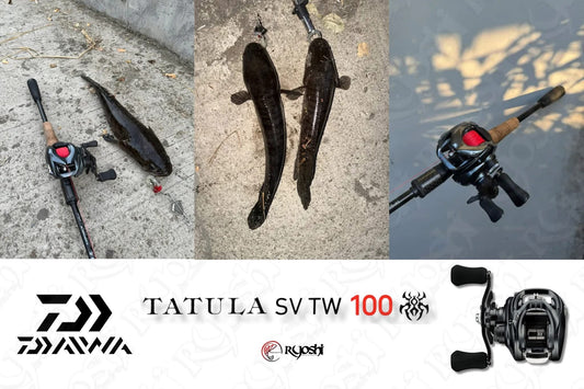 Excellent snakehead catches by sir Godwin Mark Tan using his Daiwa Tatula SV TW 100HL bought from us - Ryoshi Pro Outfitters