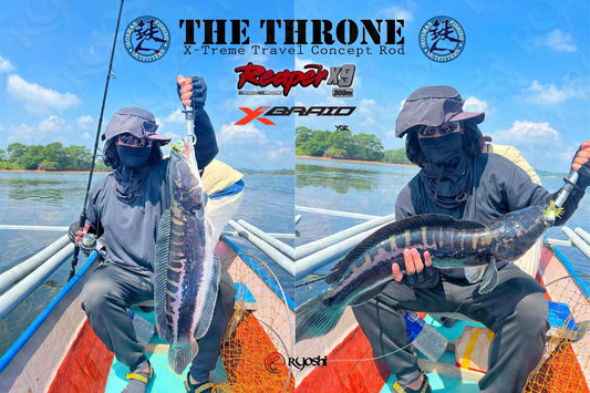 A biggie 31inches 4.83kg toman &nbsp;caught by angler JC Aldana using Ironman the Throne extreme travel concept rod. -Ryoshi Pro Outfitters