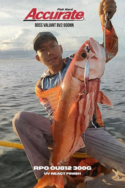 Sunday bloody ruby snapper caught by angler Sanvic Tiaga using Accurate Boss Valiant BV2 600NN and RPO OU812 UV React 600g red head color jig with Decoy pike type R 3/0 hooks. - Ruoshi Pro outfitters