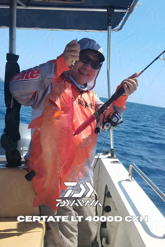 A 3kg coral trout caught on Daiwa Certate LT 4000D-CXH caught during Team Ryoshi Pro Outfitters last jigging session - Ryoshi Pro Outfitters
