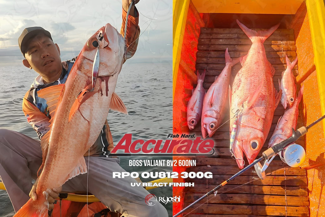 Angler Sanvic Tiaga landing multiple fishes using Accurate Valiant BV2 600NN with RPO OU812 uv react finish 300g redhead jigs. - Ryoshi Pro Outfitters