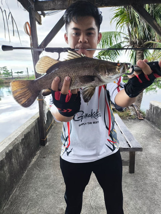 Malaysian Angler Andy Ng landing a nice barramundi using Daiwa Aerolite Light Rod and Daiwa Caldia LT2000S Reel loaded with 6lbs j-braid grand during his recent fishing adventure in the Philippines. - Ryoshi Pro Outfitters