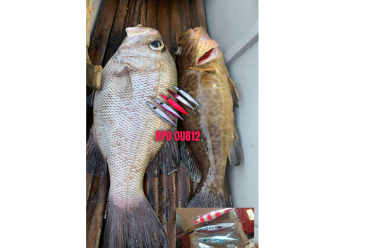 Angler Remar Odtojan submitted a a picture of his catch using RPO OU812 jigs, ”effective po ang jig ninyo” yan ang kanyang patunay,  - Ryoshi Pro Outfitters