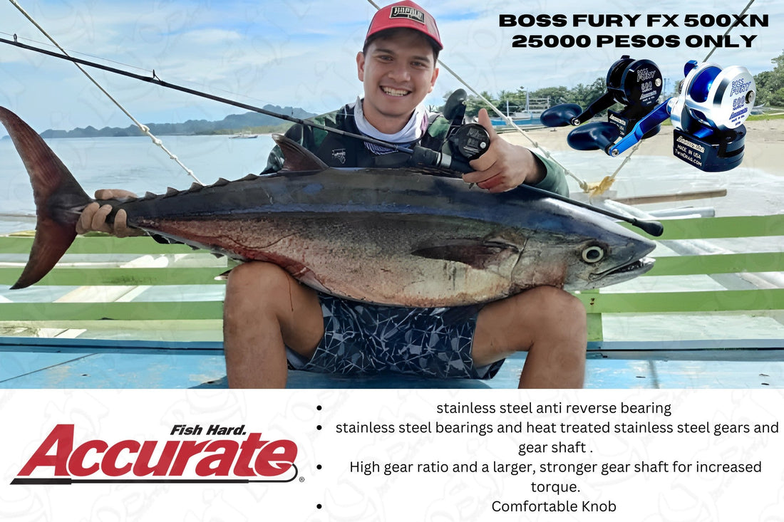 Accurate Boss Fury Reels (Lever Drag / Single Drag System) If you want a very good reel without paying too much, look no further. - Ryoshi Pro Outfitters