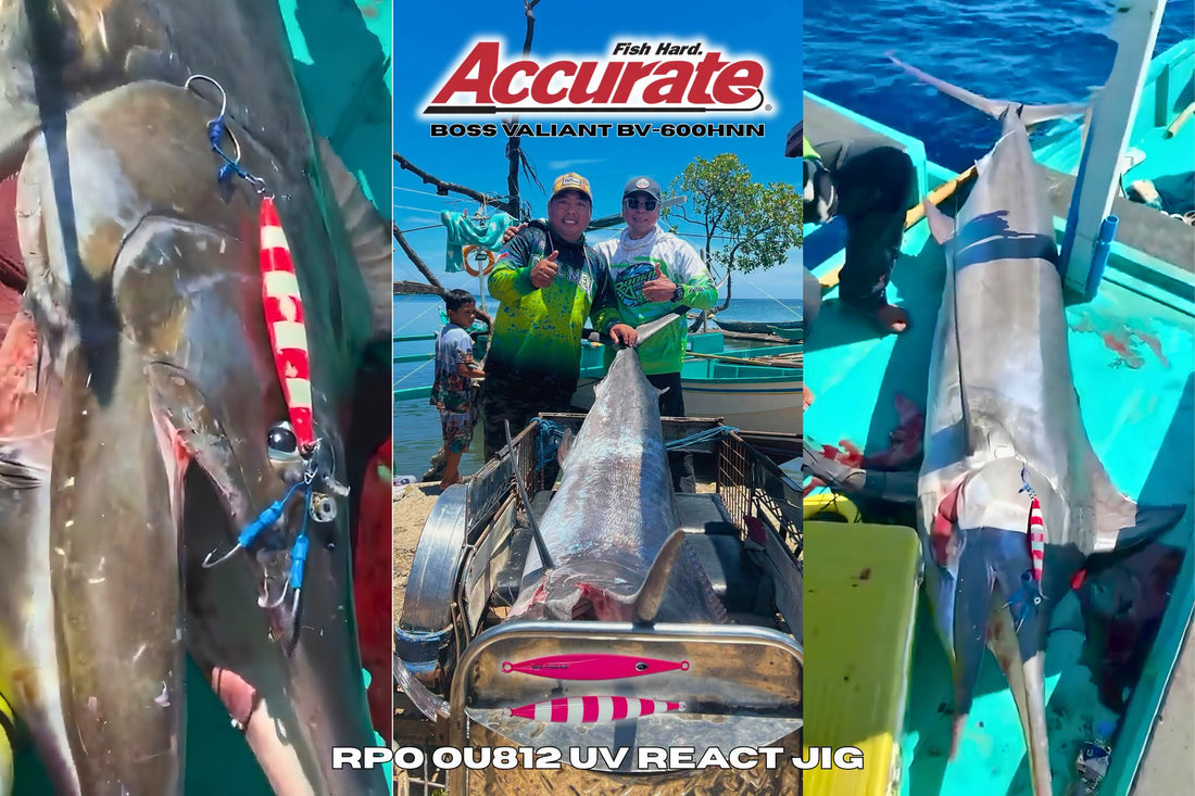 What an absolute monster of a catch! Fighting a 91kg (200lb+) black marlin for 2.5 hours is a grueling, adrenaline-pumping test of both human endurance and gear. -Ryoshi Pro Outfitters