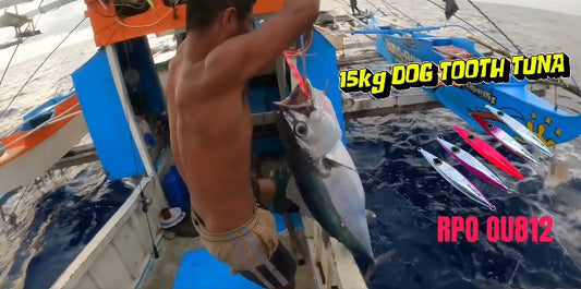 A 15kg Dog Tooth Tuna landed in less than 10min by Angler / Ryoshi Pro tester Tejz Ligan using Asari Ares BC602 Rod jigmax 600g and Accurate Fury FX500N. - Ryoshi Pro Outfitters