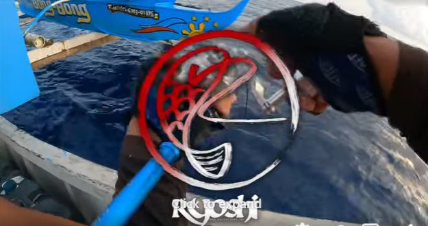 Another Dogtooth tuna caught on Asari Ares BC602 600g by Angler / Ryoshi Pro tester Tejz Ligan during their recent jigging trip,  - Ryoshi Pro Outfitters