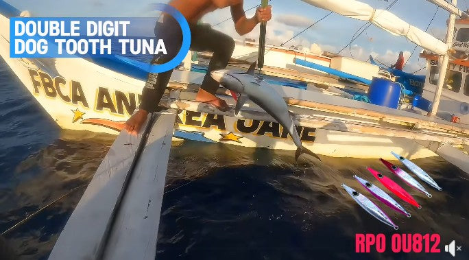 Another double digit dog tooth tuna landed by Angler/Ryoshi Pro tester Tejz Ligan using Zanaq Ikari FB64-5 and Accurate Boss Fury FX500XN - Ryoshi Pro Outfitters
