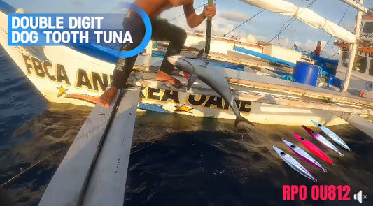 Another double digit dog tooth tuna landed by Angler/Ryoshi Pro tester Tejz Ligan using Zanaq Ikari FB64-5 and Accurate Boss Fury FX500XN - Ryoshi Pro Outfitters