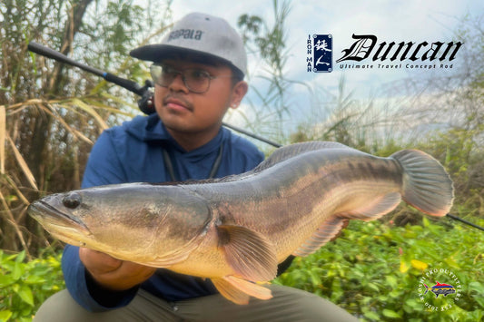 Ironman rod tester angler Bosai with a nice watermelon colored toman landed using Ironman Duncan heavy casting rod.  - Ryoshi Pro Outfitters