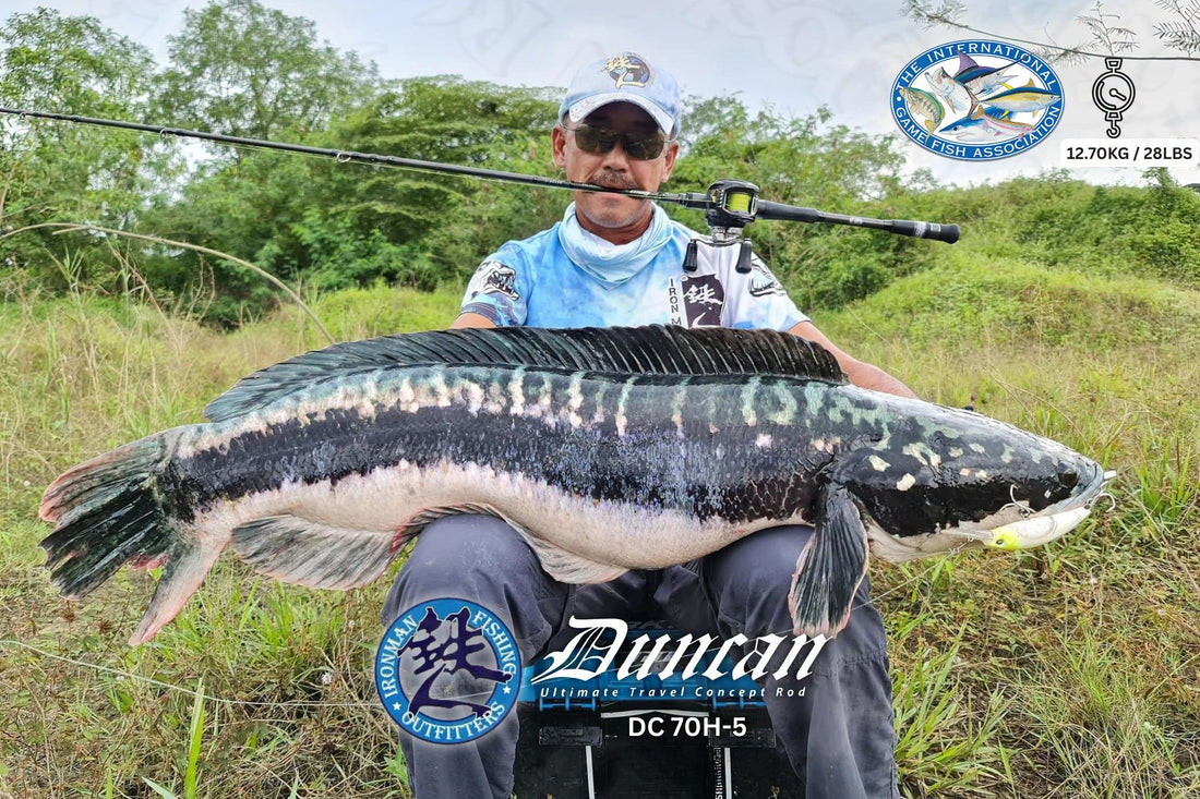 The Ironman Duncan is a premium multi-piece travel fishing rods designed for heavy-cover shore and boat casting. - Ryoshi Pro Outfitters