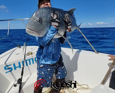 Catch and Release video of the 40kg (132cm) giant trevally caught by Takehiro Nakamura to help their dwindling population. Thanks sir Takehiro Nakamura. - Ryoshi Pro Outfitters