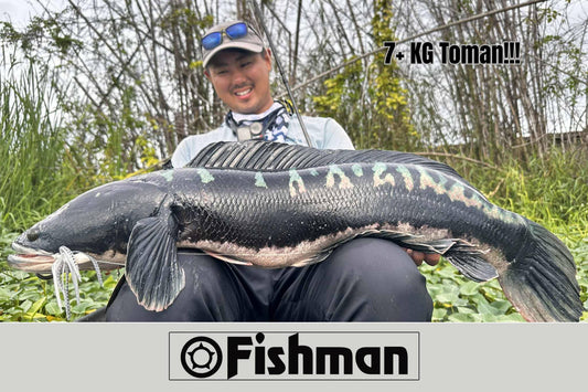 Fishman Tester Takehiro Nakamura breaking his own personal best toman catch with this huge 7+kg MAMA TOMAN during his recent toman fishing in the Philippines!!! - Ryoshi Pro Outfitters