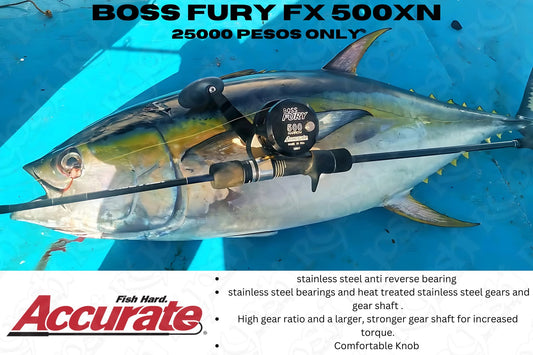 Accurate Fury FX 500XN Value for money reel, proven to catch big fish. Tough on fish easy on your pocket - Ryoshi Pro Outfitters