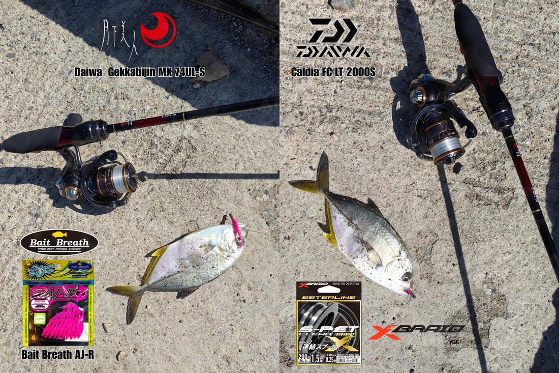 Daiwa Gekkabijin MX 74UL-S Caldia FC LT 2000S-H Ajing/Mebaring setup.  - Ryoshi Pro Outfitters