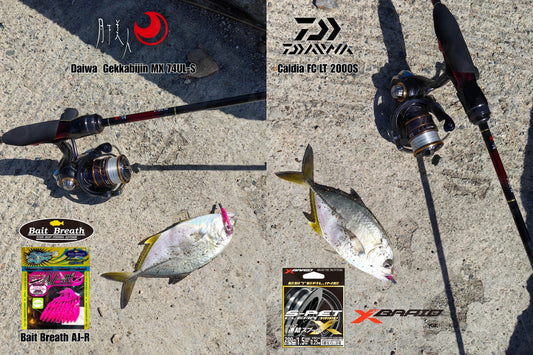 Daiwa Gekkabijin MX 74UL-S Caldia FC LT 2000S-H Ajing/Mebaring setup.  - Ryoshi Pro Outfitters