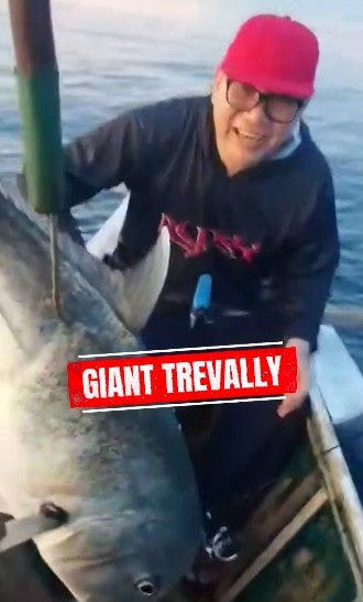Super light jigging with Smith HSJ-SSL 64/L3 rod subduing a 5kg Giant Trevally with Daiwa Freams 4000D cxh and &nbsp;Jabbers moxie metal 28g setup. - Ryoshi Pro Outfitters