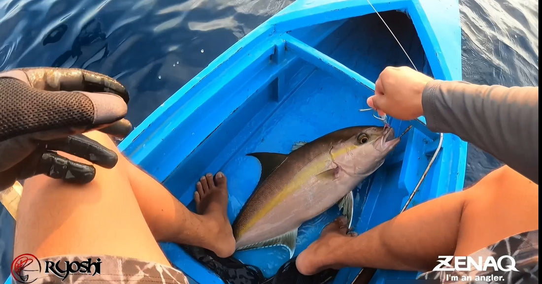 Zenaq tester Tejz Ligan landing a good size aj using Zenaq  ikari Rod and Accurate Reel - Ryoshi Pro Outfitters