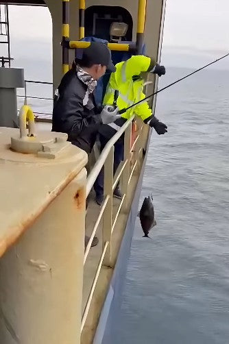 Fishing during anchorage for seafarers while waiting for the ships turn to bring down the cargoes can be very beneficial both for mental health and sustenance - Ryoshi Pro Outfitters