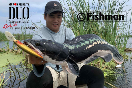 Angler Julius Mamangun catching a huge toman using Fishman BC4 510mxh and Duo fangbait 120DR.  - Ryoshi Pro Outfitters