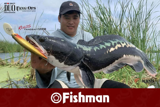 Angler Julius Mamangun landing a huge toman using Fisman Rods and Duo Realis Fangbait 120dr lure.  - Ryoshi Pro Outfitters