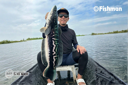 Japanese angler Kentaro Hirao with a nice toman catch using Fishman BC4 510mxh.  - Ryoshi Pro Outfitters