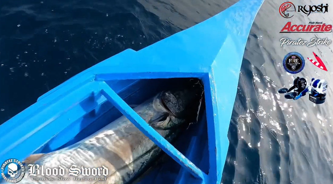 Landing a huge king mackerel using Accurate Fury FX 500xn Reel and Piratez Blood Sword Slower Rod - Ryoshi Pro Outfitters