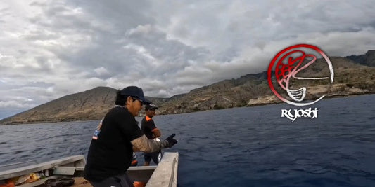 Another Double Digit Dog Tooth Tuna landed by angler KOLEGA PH using Accurate Valiant BV2-600NN with SPJ Handle and Piratez Blood Sword Slower 56/5 - Ryoshi Pro Outfitters