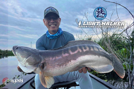 Angler Chris Manlapaz Landing a 4kg Toman using Ironman Light Walker LWC68ML!!! - Ryoshi Pro Outfitters