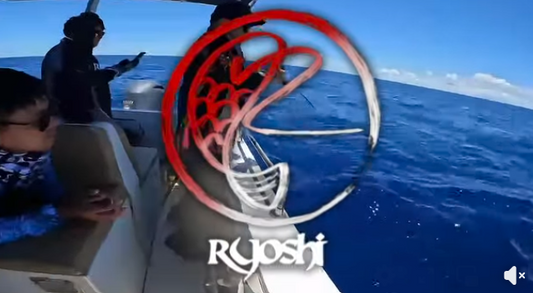 Senses Ocean Luna 2 and Accurate Valiant BV500NSPJ combo was used to land this big hard fighting Bonito!!!!(Skipjack). - Ryoshi Pro Outfitters