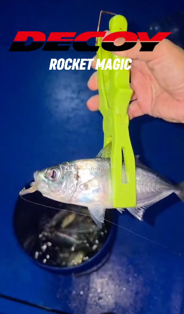 Angler Aijo Okamura lands big eye scads after big eye scad (matangbaka or aji) filling his bucket in no time - Ryoshi Pro Outfitters